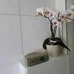 Fromme Helene דירה מילסטאט