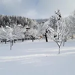 Fromme Helene * מילסטאט