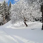 Fromme Helene *