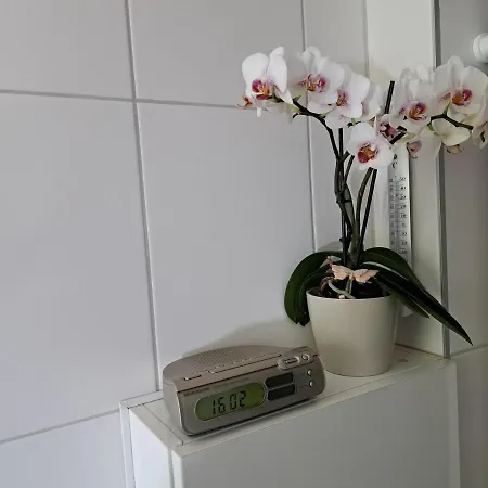 Fromme Helene Apartamento Millstatt