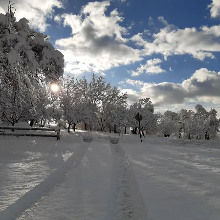 Fromme Helene Apartament