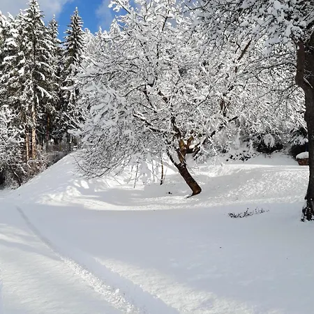 Fromme Helene *